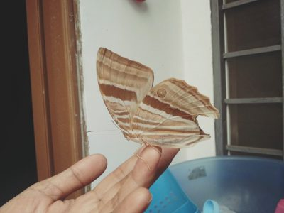  - Ảnh 2.