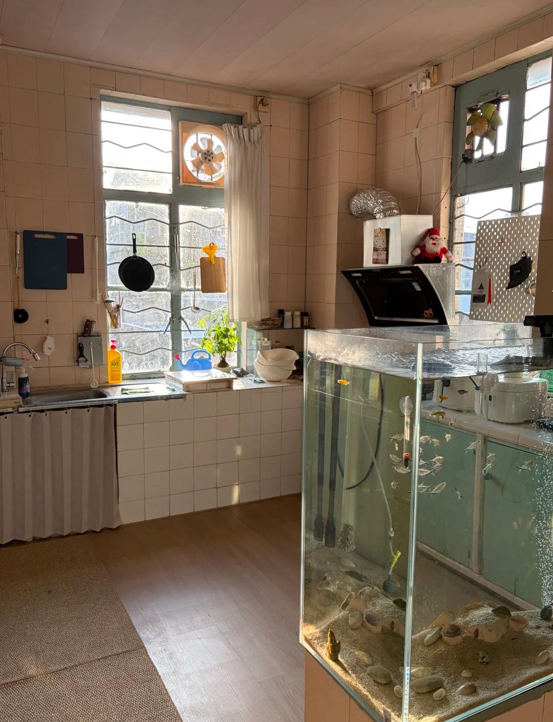 Bỏ căn hộ 50m² để chuyển vào nhà tập thể cũ 160m², ở một thời gian chủ nhà phải thốt lên: Như này mới là đáng sống! - Ảnh 7.