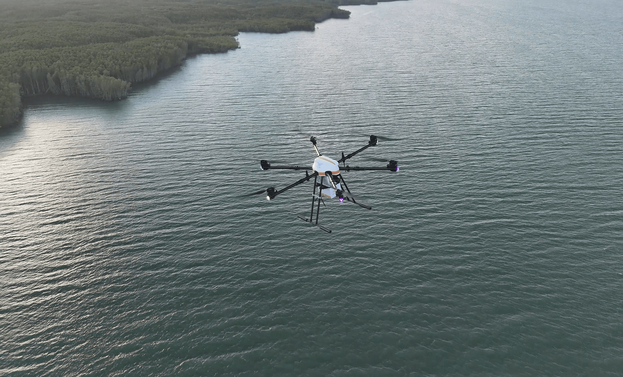3.000 drone đang bay phục vụ nông nghiệp ở Đồng bằng sông Cửu Long, nữ Phó Viện trưởng chỉ ra con số tỷ USD đáng chú ý- Ảnh 2.