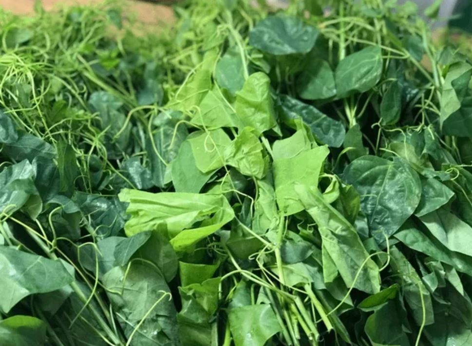 Loại rau dại có tên "bốc mùi" nhưng là vị thuốc hỗ trợ tiêu hóa và giải độc - Ảnh 2.