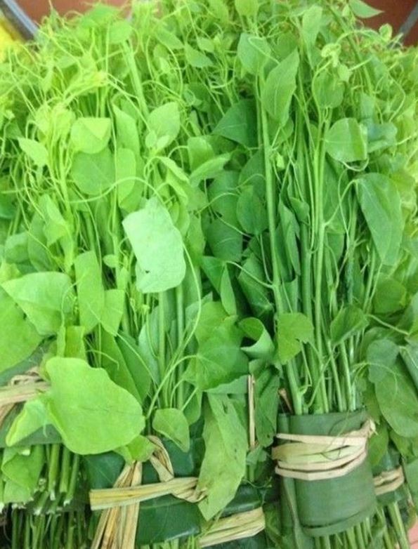 Loại rau dại có tên "bốc mùi" nhưng là vị thuốc hỗ trợ tiêu hóa và giải độc - Ảnh 1.