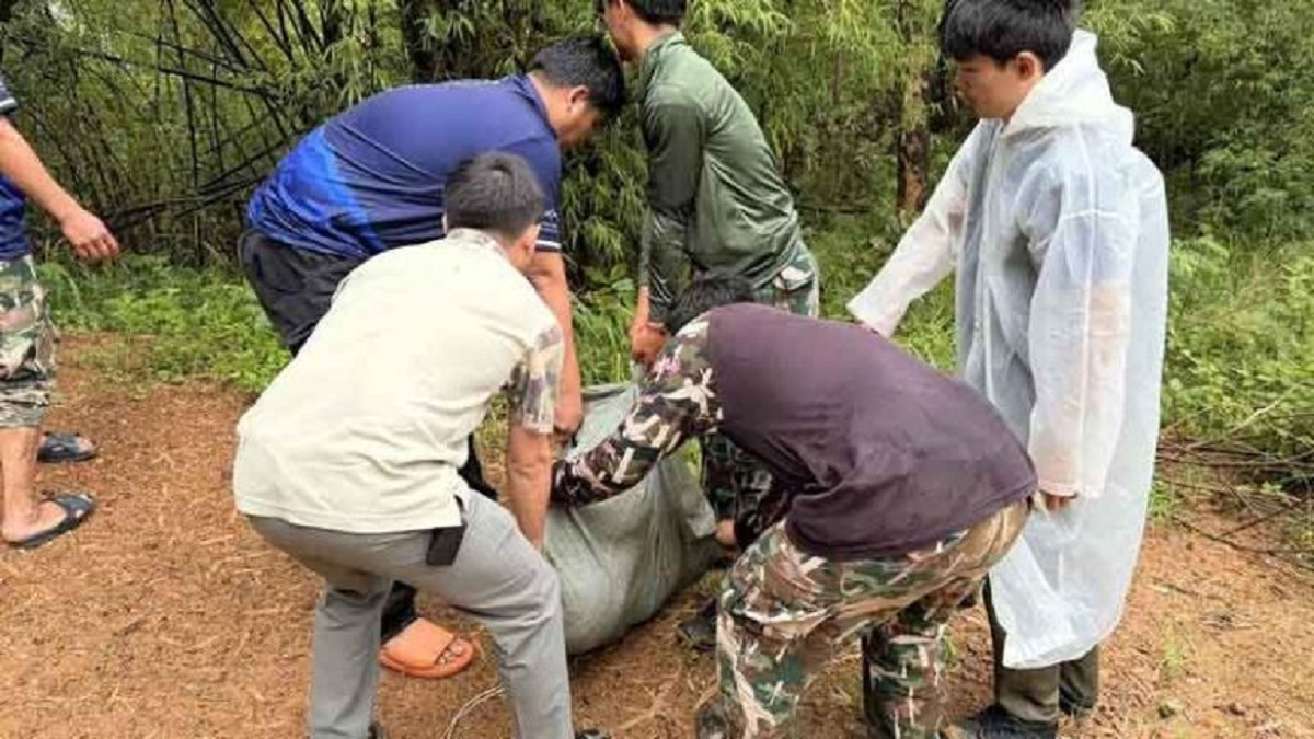 Nhìn ra vườn, người dân phát hiện cảnh tượng "nổi da gà" - Ảnh 3.