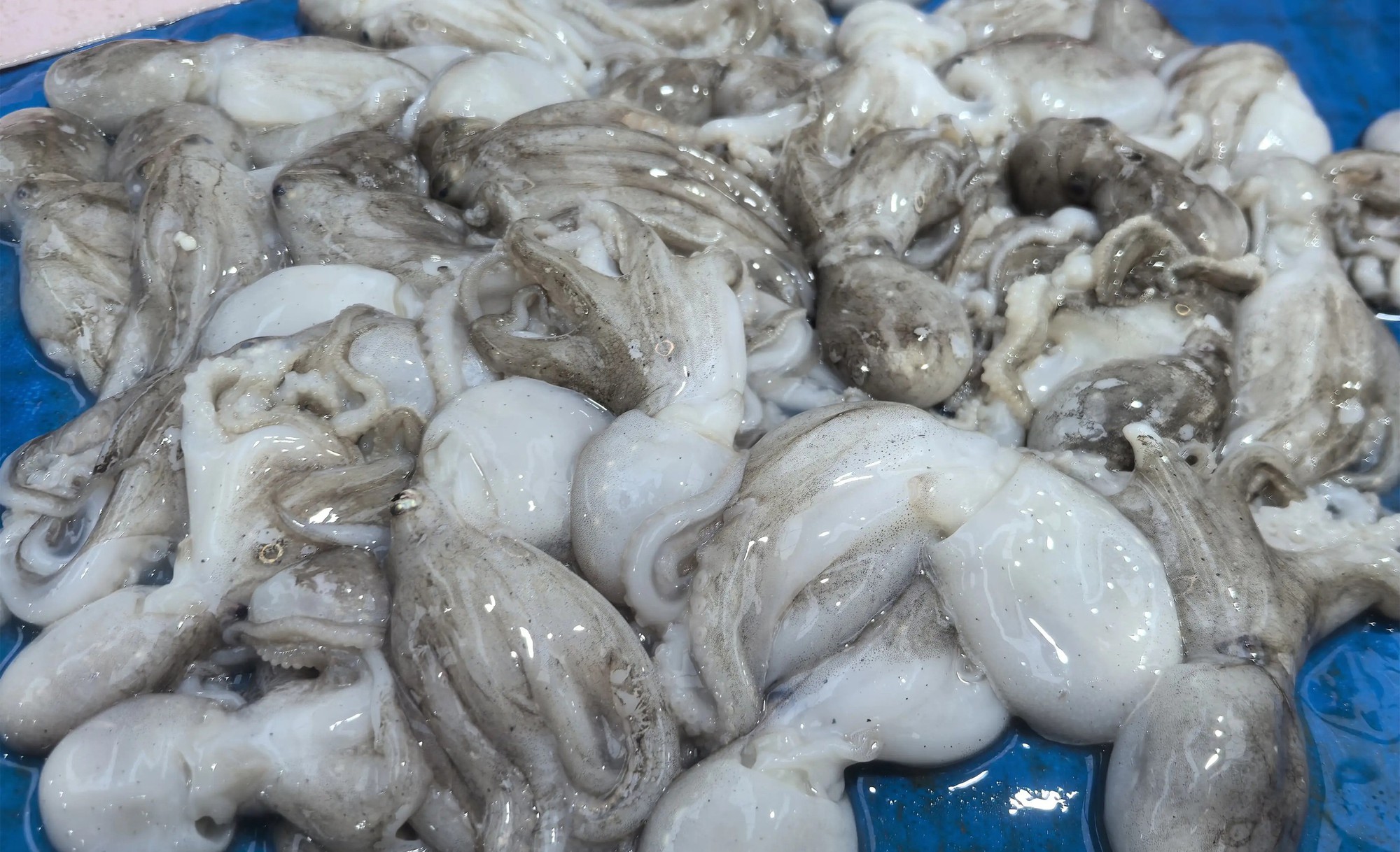 3 món ăn ngon "đỉnh của chóp", chị em cứ ra chợ thấy nguyên liệu là phải chốt đơn ngay- Ảnh 13.