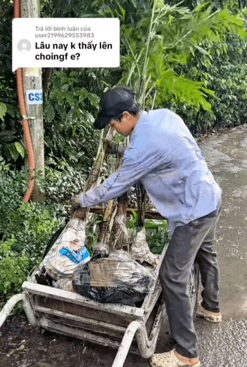 Mẹ đơn thân Phú Thọ lấy chồng thiếu gia: Sống trong resort nghìn tỷ nhưng không khoe đồng hồ, xe sang mà lại say sưa review phân bón- Ảnh 9.