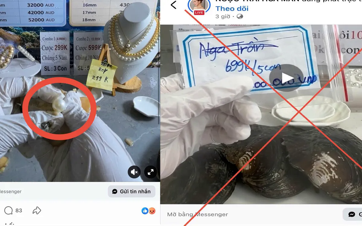 "Khui ngọc trai" trúng tiền tỷ: Công an vạch trần 3 bước lừa đảo - Ảnh 1.