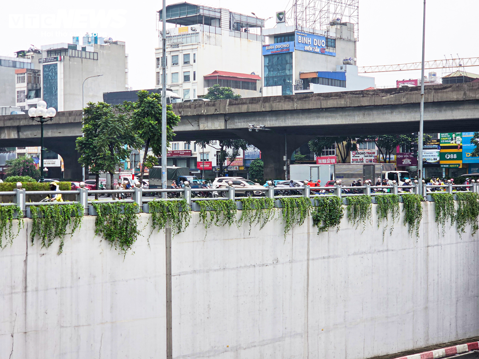 Lạ mắt những vòm cây xanh phủ kín trụ metro, hầm chui ở Hà Nội - Ảnh 10.