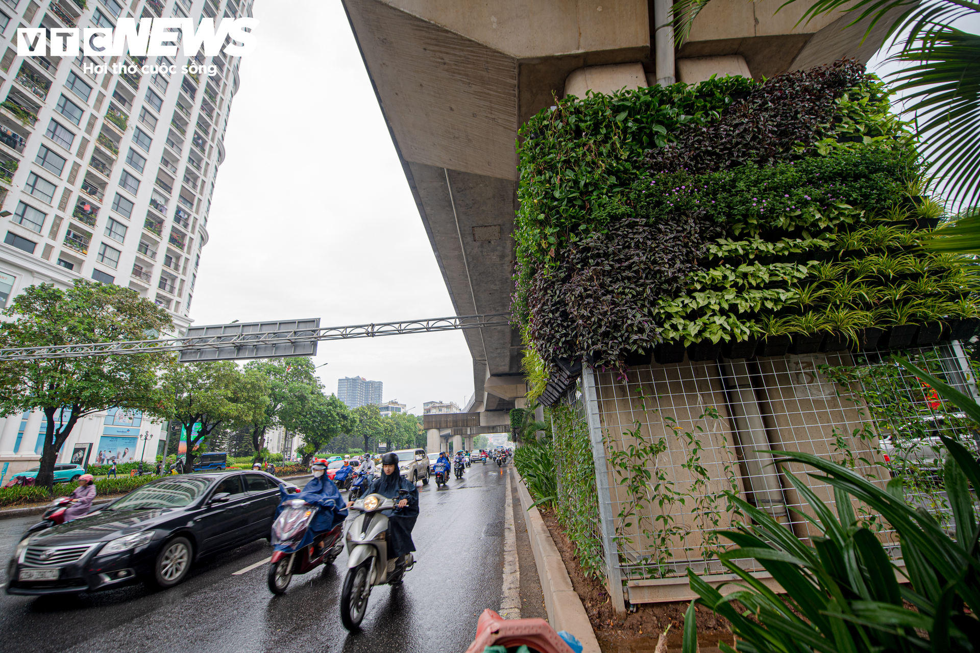 Lạ mắt những vòm cây xanh phủ kín trụ metro, hầm chui ở Hà Nội - Ảnh 4.