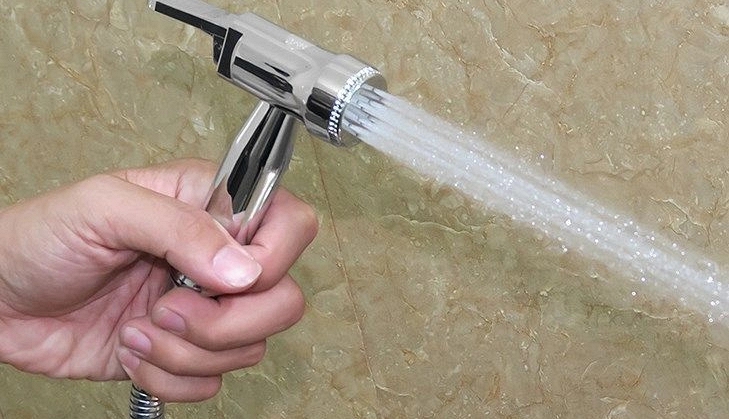 Lời khuyên đến tất cả các gia đình đang trồng cây đinh lăng để ăn - Ảnh 2.