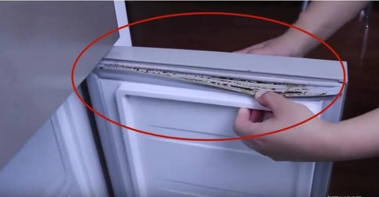 Nhà nào cũng có tủ lạnh nhưng 90% mọi người quên vệ sinh bộ phận này: ổ vi khuẩn khuẩn ẩn giấu- Ảnh 2.