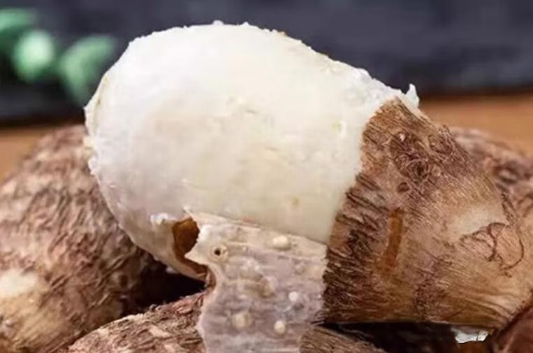Loại "nhân sâm ngầm" này đang vào mùa: Đây là 3 cách nấu món ăn vừa ngon miệng và đơn giản nhất- Ảnh 2. Loại "nhân sâm ngầm" này đang vào mùa: Đây là 3 cách nấu món ăn vừa ngon miệng và đơn giản nhất- Ảnh 2.