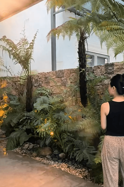 Ngôi nhà 450m2 của vợ chồng Hà Tĩnh như resort thu nhỏ: Khu vườn nhiệt đới bao quanh, cả căn nhà phủ 70% kính, góc nào cũng có view “triệu đô”- Ảnh 2.