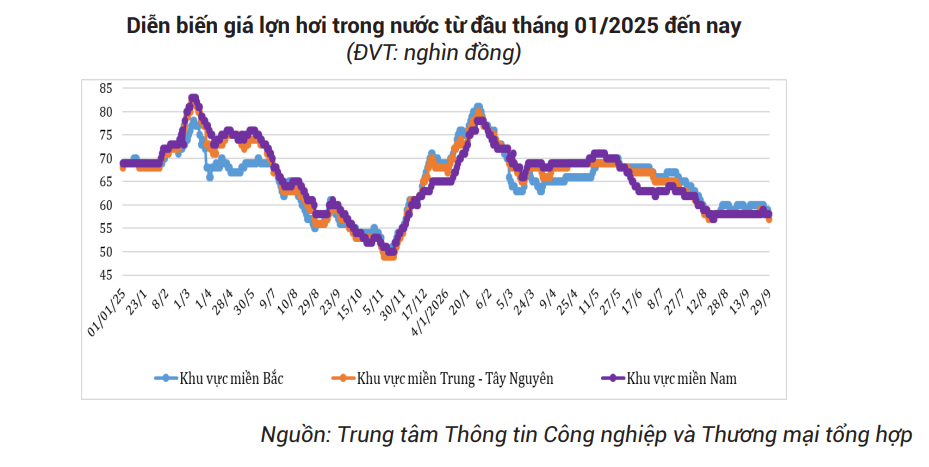 Hàng trăm nghìn tấn thịt lợn ngoại ồ ạt tràn vào Việt Nam, giá rẻ không tưởng chỉ 45.000 đồng/kg - Ảnh 2.