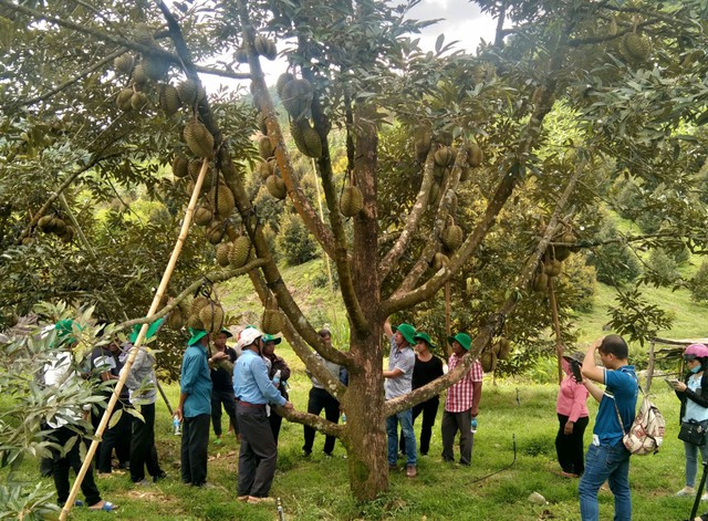 Phát hiện vùng đất có những viên đá "biết kêu" ở Việt Nam, vang như chuông: Dấu tích đã tồn tại 3.000 năm- Ảnh 7.
