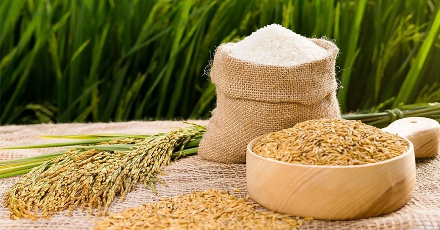 'Hạt ngọc trời' của Việt Nam được Trung Quốc 'săn đón': Xuất khẩu hơn 500 triệu USD sau 8 tháng  - Ảnh 2.
