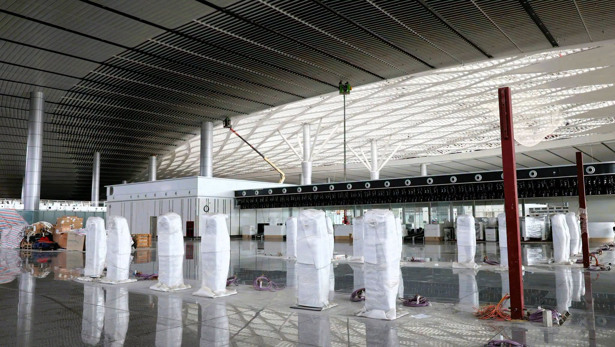 Hôm qua - 6/10, nhiều người được huy động làm nhiệm vụ đặc biệt tại sân bay Long Thành - Ảnh 7.