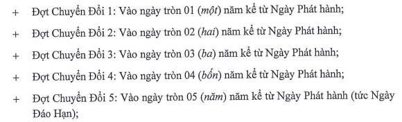 Tasco chốt ngày chào bán hơn 35 triệu trái phiếu chuyển đổi - Ảnh 2.