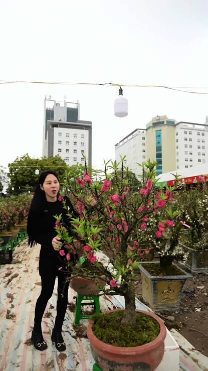Thu nhập của cô gái Lào Cai bán thịt trâu gác bếp nổi tiếng Việt Nam, từng vỡ nợ, nhà trồng đào, trồng mai - Ảnh 3.