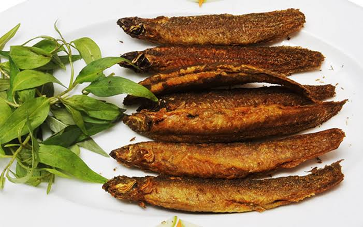 Loại cá thế giới ví như "sâm nước", hóa ra chợ Việt bán đầy - Ảnh 2.