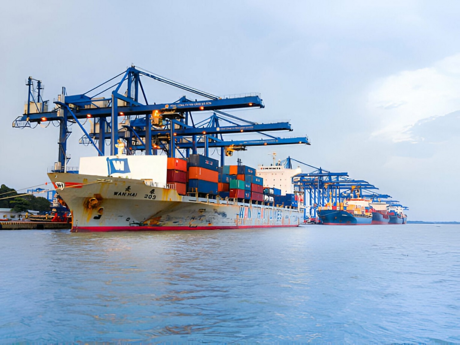 Việt Nam đang sở hữu một ngành hàng ‘gà đẻ trứng vàng': Âm thầm mang về hàng chục tỷ USD mỗi năm, xuất khẩu sang Mỹ, Thái Lan bùng nổ - Ảnh 1.