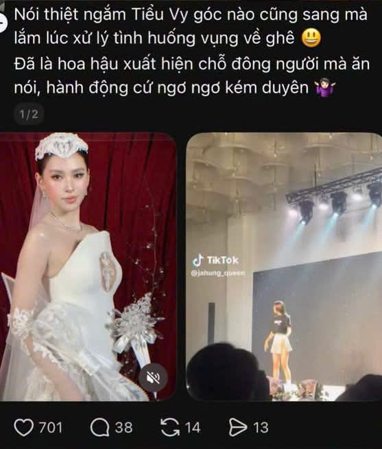 Nỗi lòng của Hoa hậu Tiểu Vy- Ảnh 1.