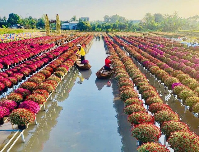 Phát hiện ngôi làng ở Việt Nam có hơn 2.000 giống hoa 'không chạm đất', mỗi lần chăm cây phải làm việc này- Ảnh 2.