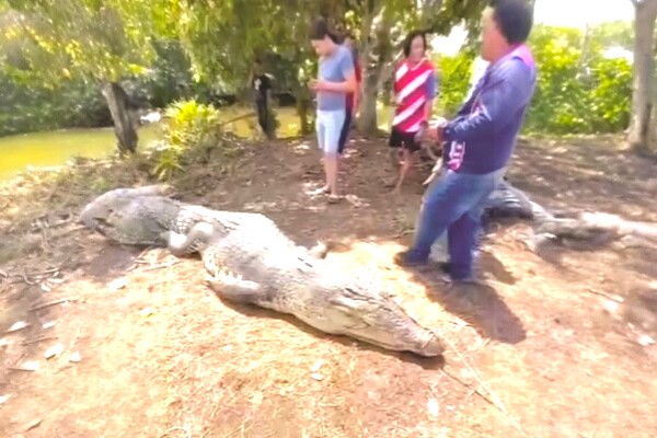 Cần thủ vô tình móc trúng "quái thú" dài hơn 4,5m, nặng trên 1 tấn: Kéo lên mới phát hiện điều bất thường- Ảnh 2.