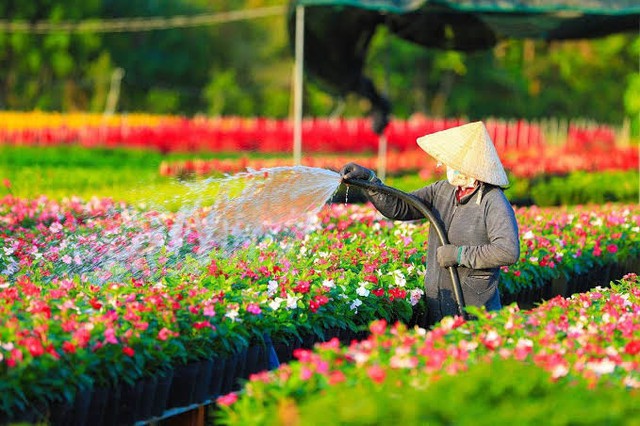 Phát hiện ngôi làng ở Việt Nam có hơn 2.000 giống hoa 'không chạm đất', mỗi lần chăm cây phải làm việc này- Ảnh 3.