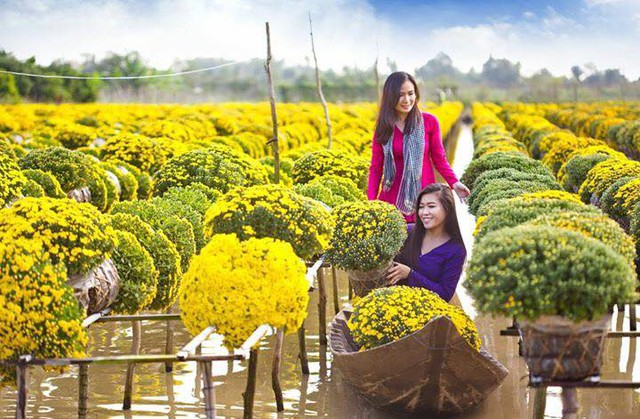 Phát hiện ngôi làng ở Việt Nam có hơn 2.000 giống hoa 'không chạm đất', mỗi lần chăm cây phải làm việc này- Ảnh 4.