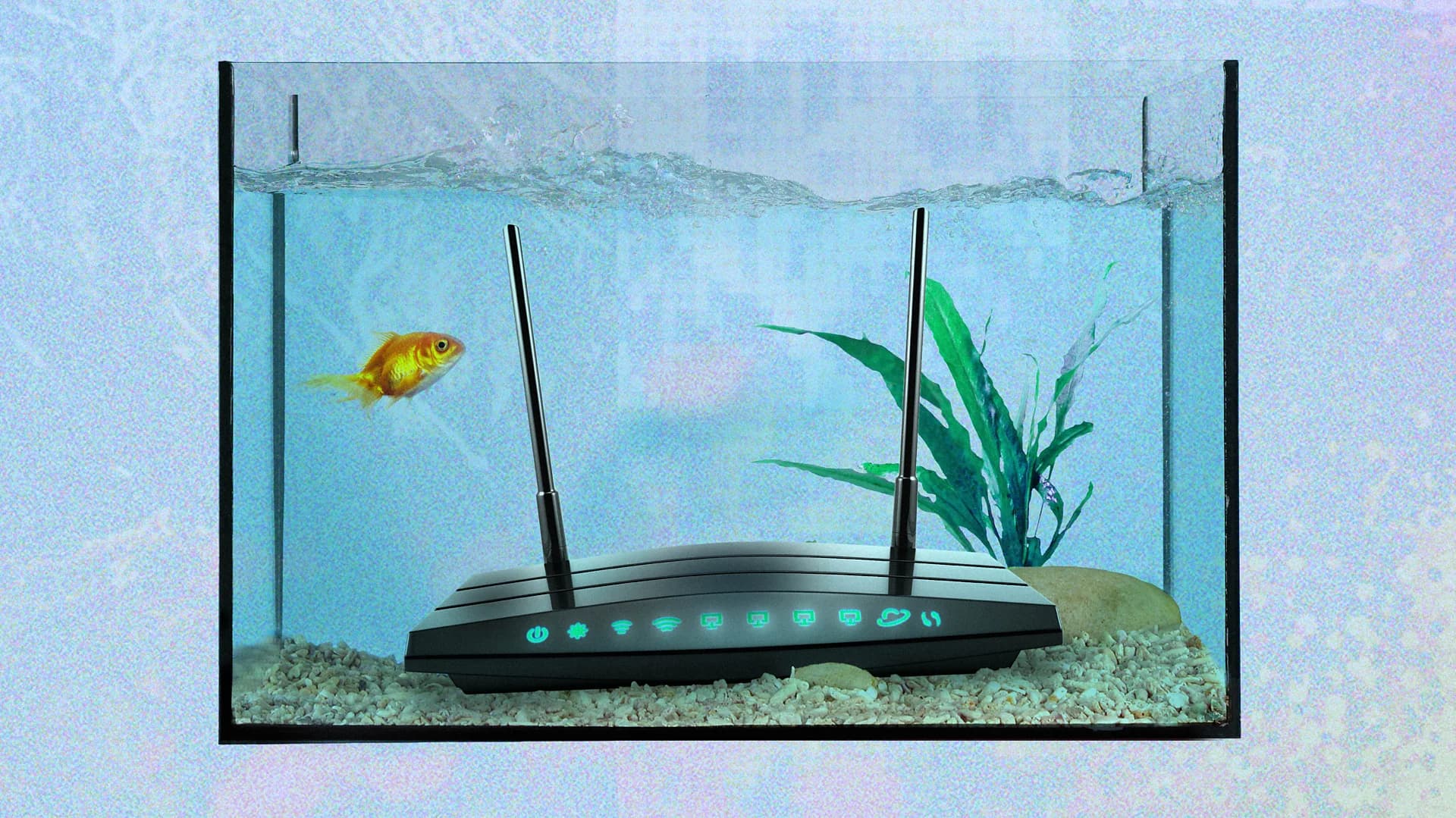 Đồ vật ít ai ngờ tới có thể khiến Wi-Fi trong nhà yếu đi- Ảnh 1.