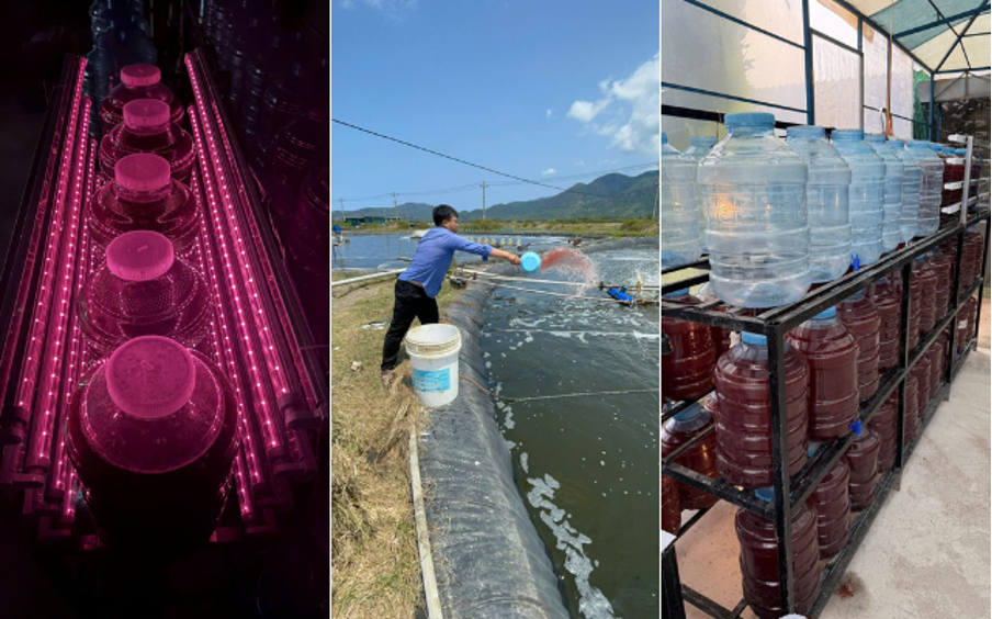 Từ bỏ vị trí quản lý tại Mỹ, chàng trai Việt Kiều 9X về nước dốc tâm sức khởi nghiệp công nghệ vi sinh phục vụ nông dân Việt Nam trong ngành xuất khẩu 4,6 tỷ USD  - Ảnh 2.