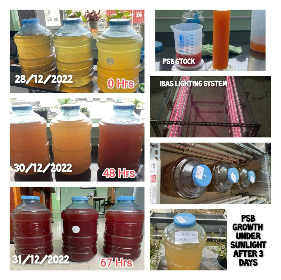 Từ bỏ vị trí quản lý tại Mỹ, chàng trai Việt Kiều 9X về nước dốc tâm sức khởi nghiệp công nghệ vi sinh phục vụ nông dân Việt Nam trong ngành xuất khẩu 4,6 tỷ USD  - Ảnh 3.