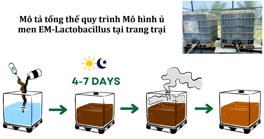 Từ bỏ vị trí quản lý tại Mỹ, chàng trai Việt Kiều 9X về nước dốc tâm sức khởi nghiệp công nghệ vi sinh phục vụ nông dân Việt Nam trong ngành xuất khẩu 4,6 tỷ USD  - Ảnh 4.