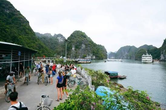Việt Nam có ngôi làng 89 hộ dân, 297 người cùng sinh sống, được giao nhiệm vụ đặc biệt: Sở hữu đặc điểm rừng - làng - biển hiếm có, nằm trong không gian được UNESCO công nhận cách đây 22 năm - Ảnh 4.