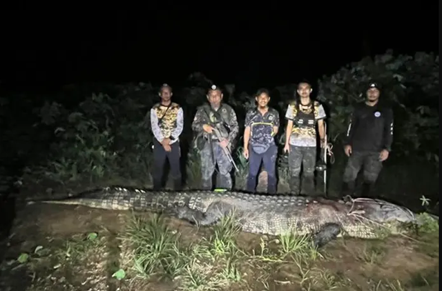 Cần thủ vô tình móc trúng "quái thú" dài hơn 4,5m, nặng trên 1 tấn: Kéo lên mới phát hiện điều bất thường- Ảnh 1.