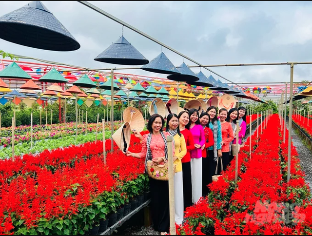 Phát hiện ngôi làng ở Việt Nam có hơn 2.000 giống hoa 'không chạm đất', mỗi lần chăm cây phải làm việc này- Ảnh 5.