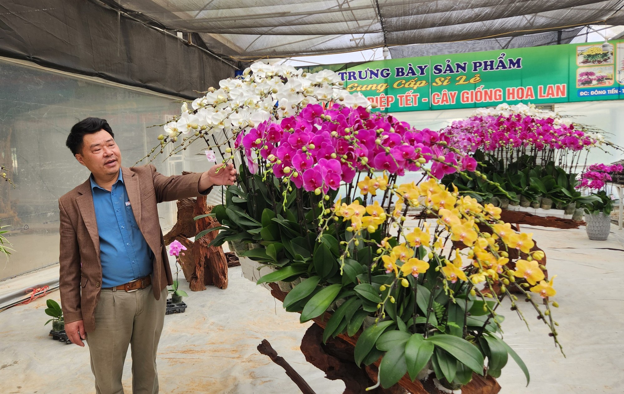 Đầu tư 10 tỉ đồng trồng loài hoa "quý tộc" bán cho người dân chơi Tết - Ảnh 16.