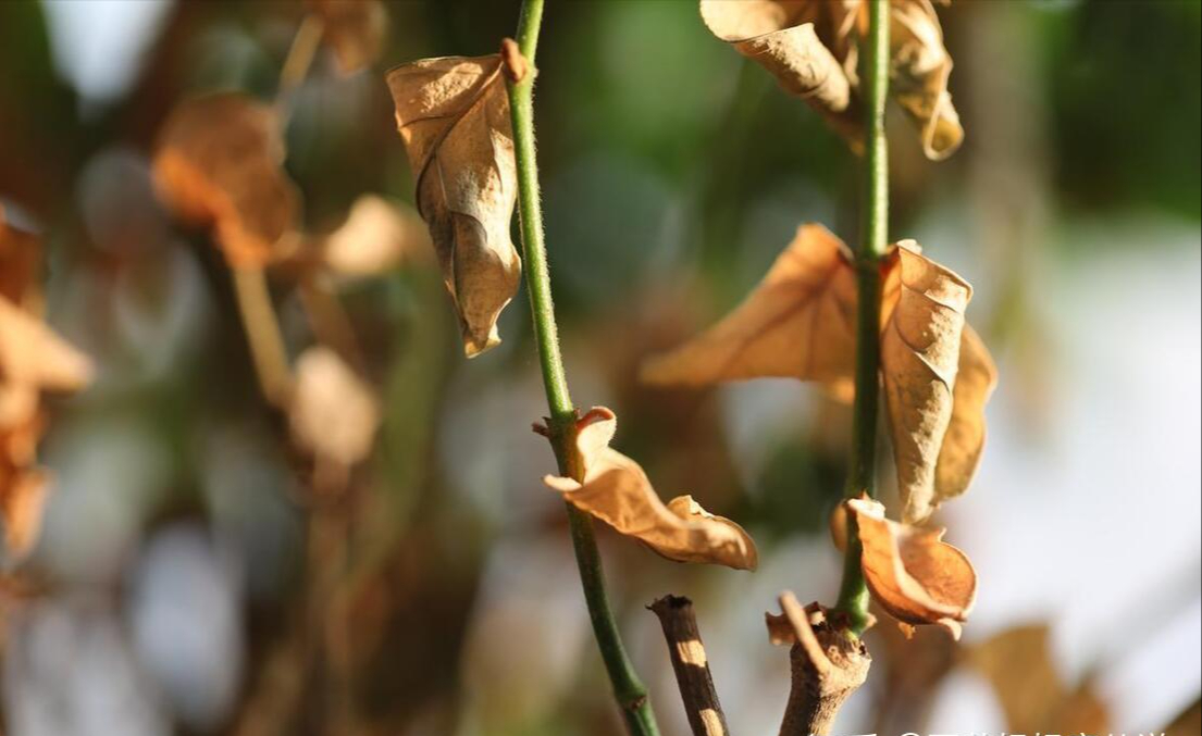 Dọn nhà trước ngày 24 tháng Chạp: 4 thứ nên bỏ ngay để năm mới đỡ chật, đỡ mệt, đỡ nặng đầu- Ảnh 4.