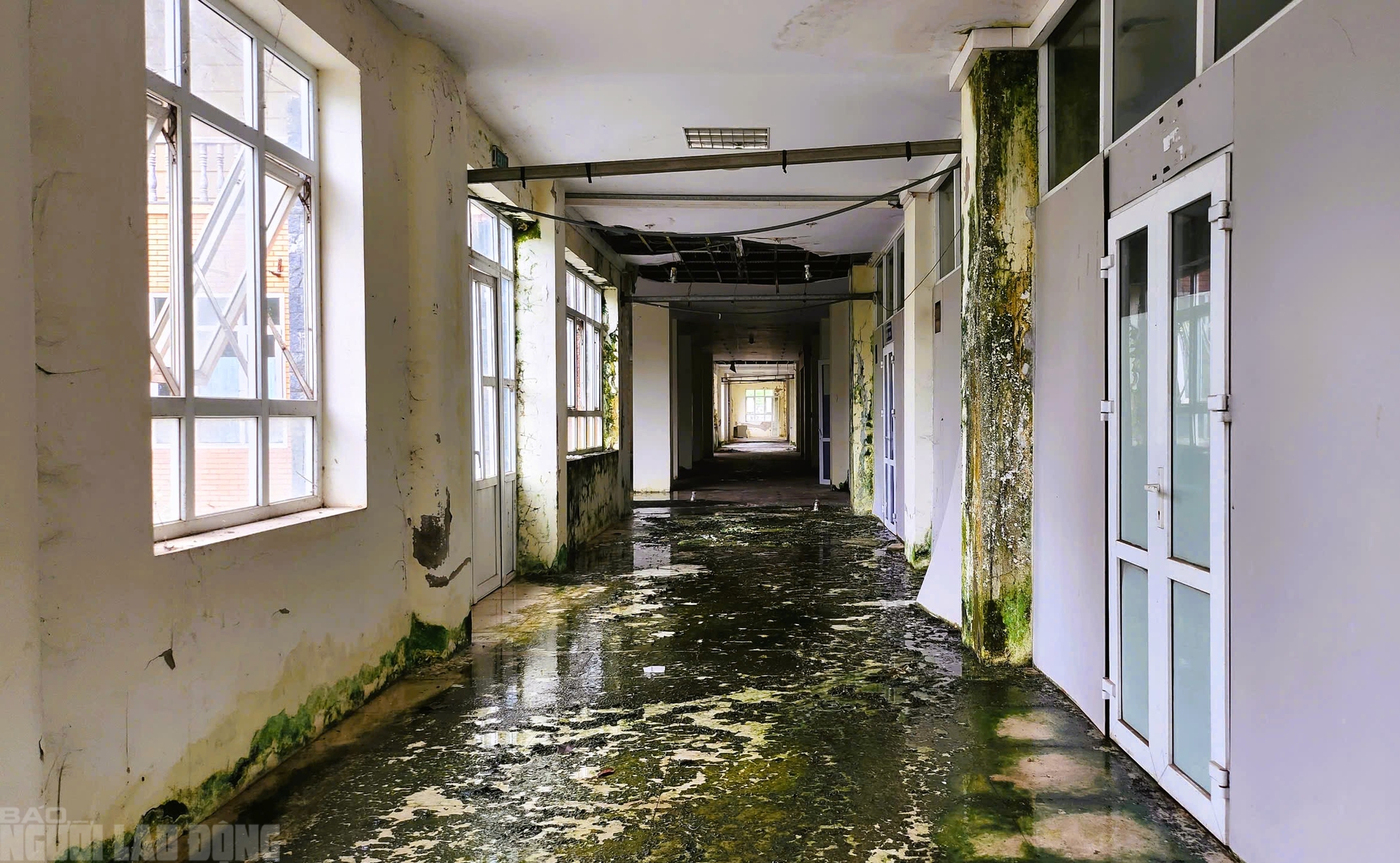 Xin thay đổi công năng trung tâm hội nghị 160 tỉ đồng bỏ hoang ở Thanh Hóa - Ảnh 2.