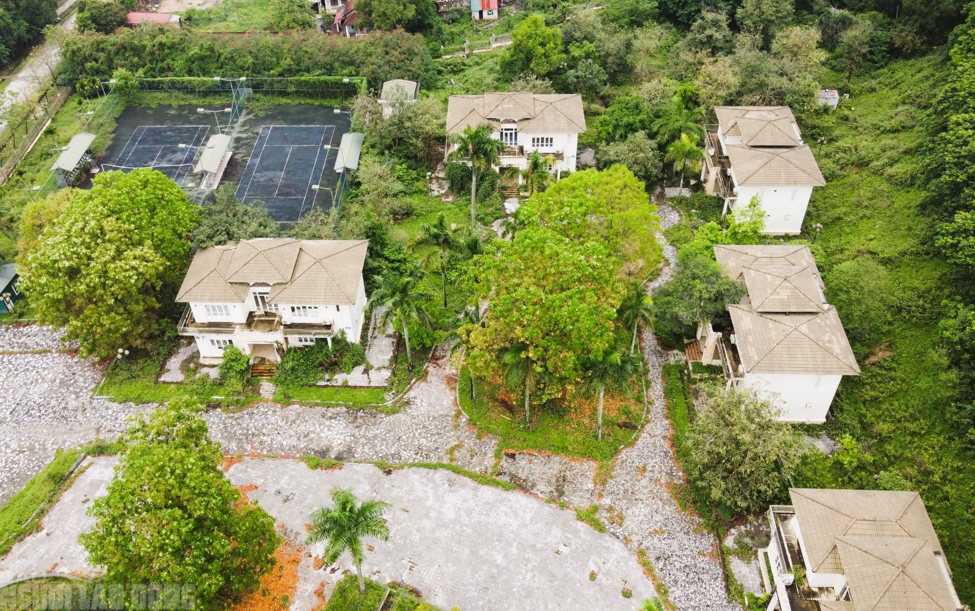 Xin thay đổi công năng trung tâm hội nghị 160 tỉ đồng bỏ hoang ở Thanh Hóa - Ảnh 3.