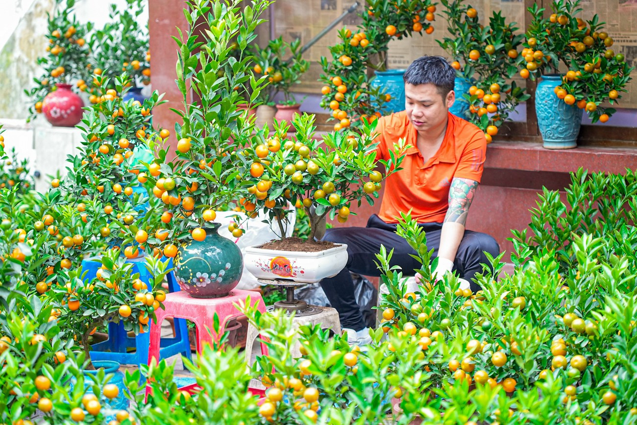 Chợ hoa Hàng Lược 'đánh thức' Tết Bính Ngọ giữa lòng phố cổ- Ảnh 14.