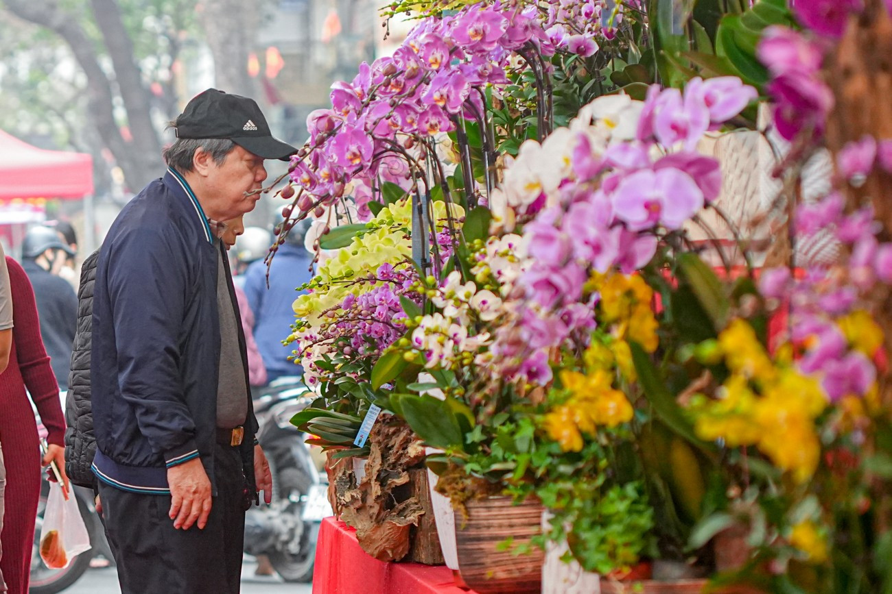 Chợ hoa Hàng Lược 'đánh thức' Tết Bính Ngọ giữa lòng phố cổ- Ảnh 12.