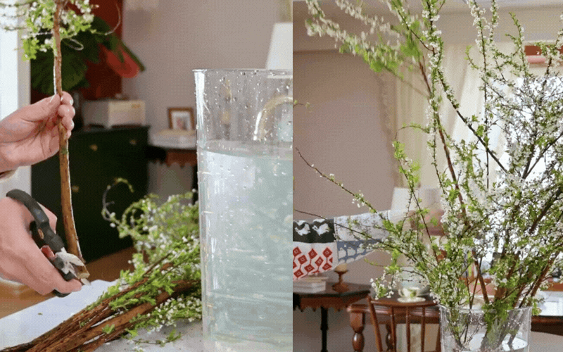 Mẹo giữ hoa tuyết mai tươi ròng rã 2 tuần: Sai lầm "kinh điển" khi thay nước khiến hoa héo rũ mà 90% chị em đang làm mỗi ngày- Ảnh 10.