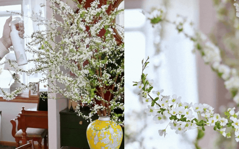 Mẹo giữ hoa tuyết mai tươi ròng rã 2 tuần: Sai lầm "kinh điển" khi thay nước khiến hoa héo rũ mà 90% chị em đang làm mỗi ngày- Ảnh 13.