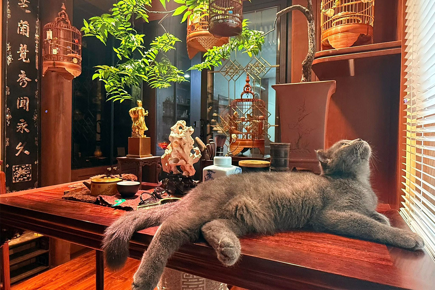 Nhan sắc vợ chân dài sinh 5 con cho nam nghệ sĩ đình đám sở hữu biệt phủ dát vàng ở Hà Nội- Ảnh 8.