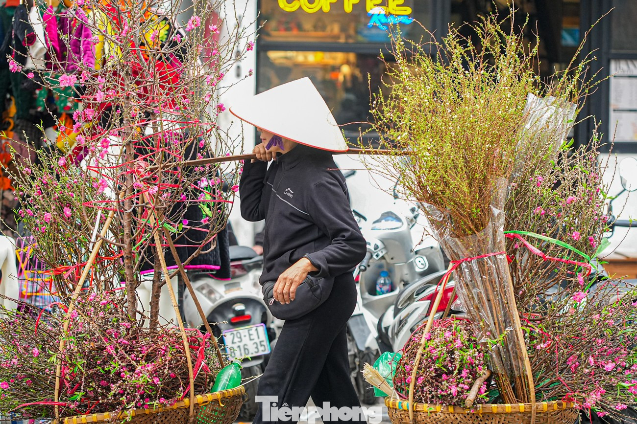 Chợ hoa Hàng Lược 'đánh thức' Tết Bính Ngọ giữa lòng phố cổ- Ảnh 19.