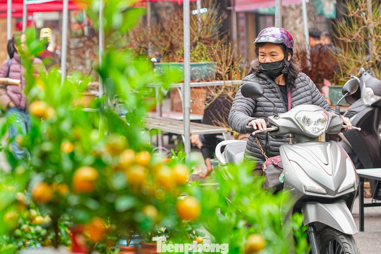 Chợ hoa Hàng Lược 'đánh thức' Tết Bính Ngọ giữa lòng phố cổ- Ảnh 16.