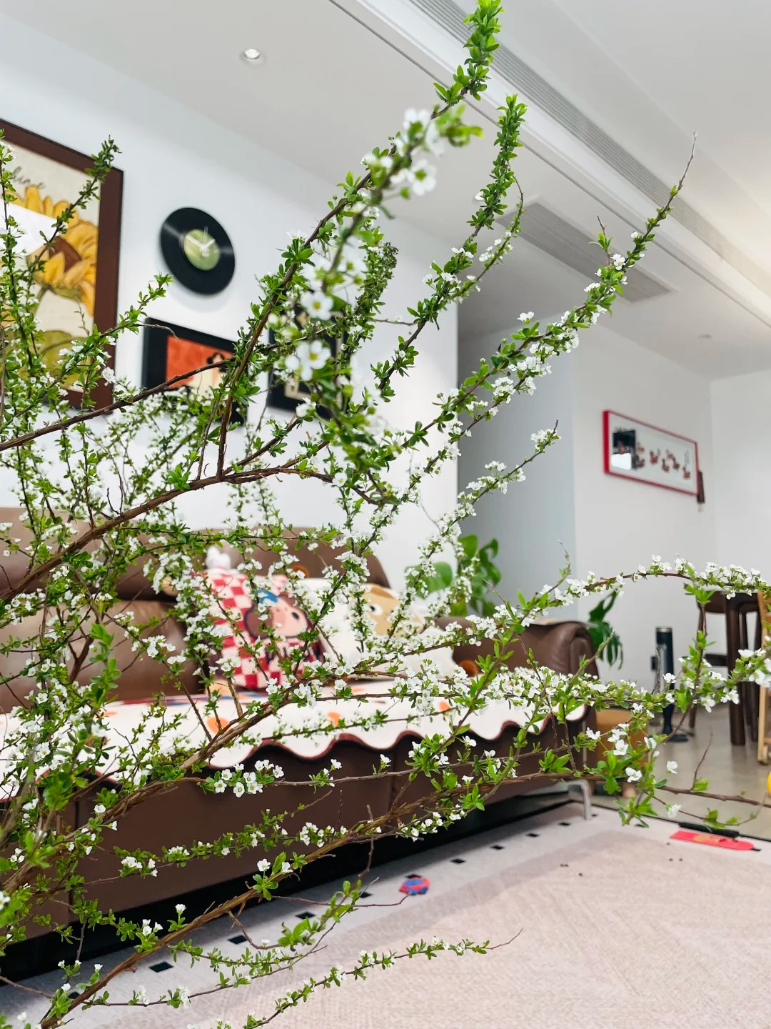 Mẹo giữ hoa tuyết mai tươi ròng rã 2 tuần: Sai lầm "kinh điển" khi thay nước khiến hoa héo rũ mà 90% chị em đang làm mỗi ngày- Ảnh 6.