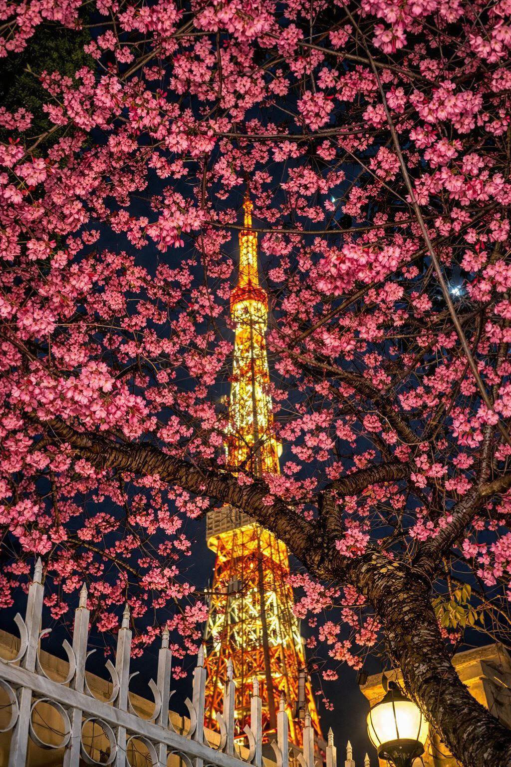 Nơi được ví như "tiểu Paris của Việt Nam": Du khách giật mình vì nhiều điểm chung, có tòa tháp như Eiffel - Ảnh 5.