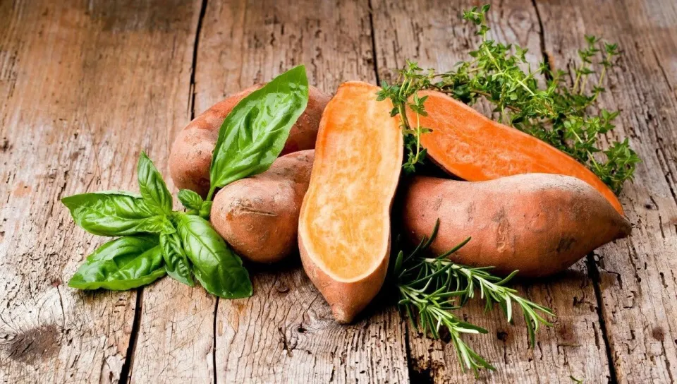 7 “cao thủ chống oxy hóa” ngay trong bữa cơm hằng ngày, chuyên gia dinh dưỡng khuyên nên ăn thường xuyên - Ảnh 3.