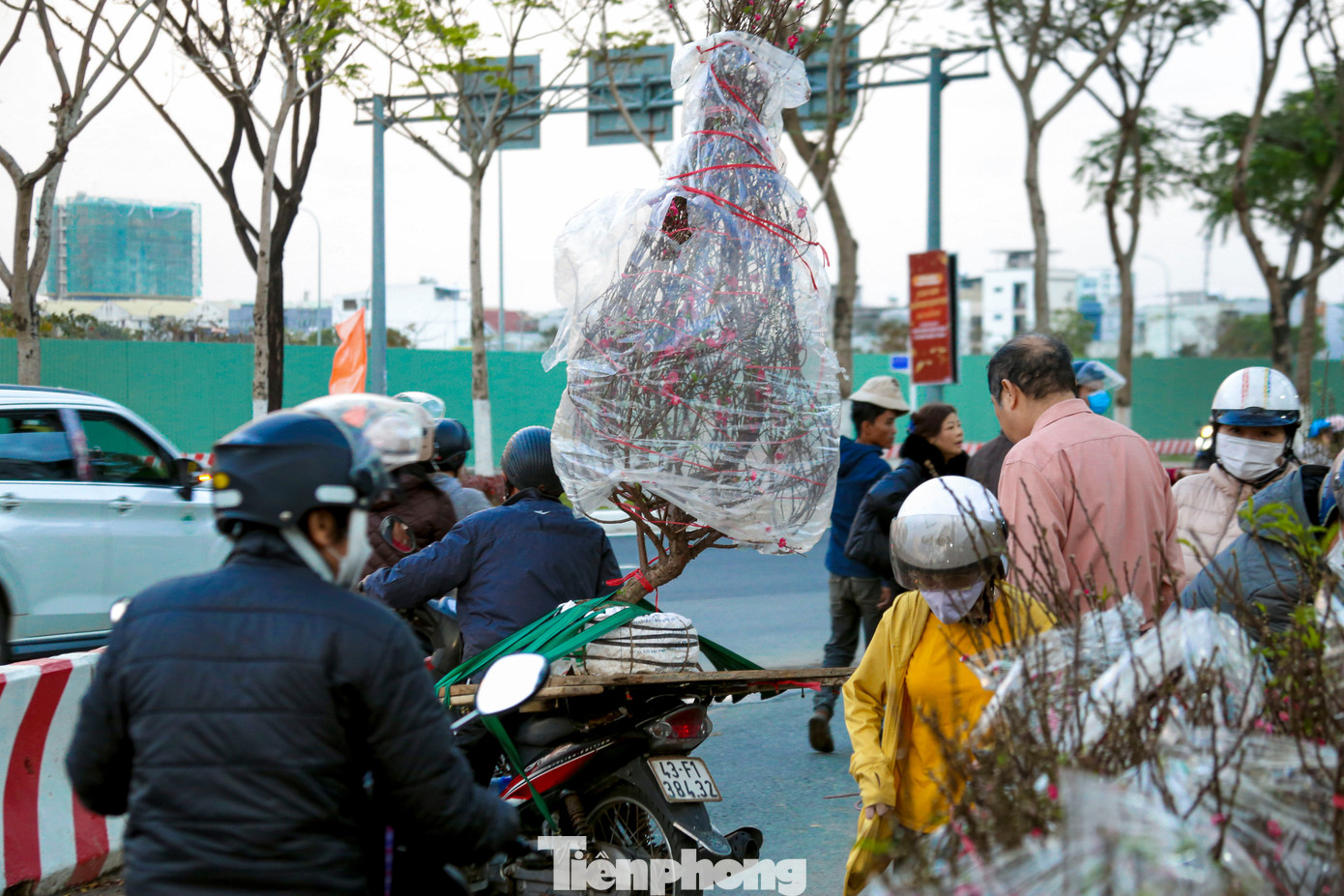 Nghề chở cây thuê ngày Tết- Ảnh 7.